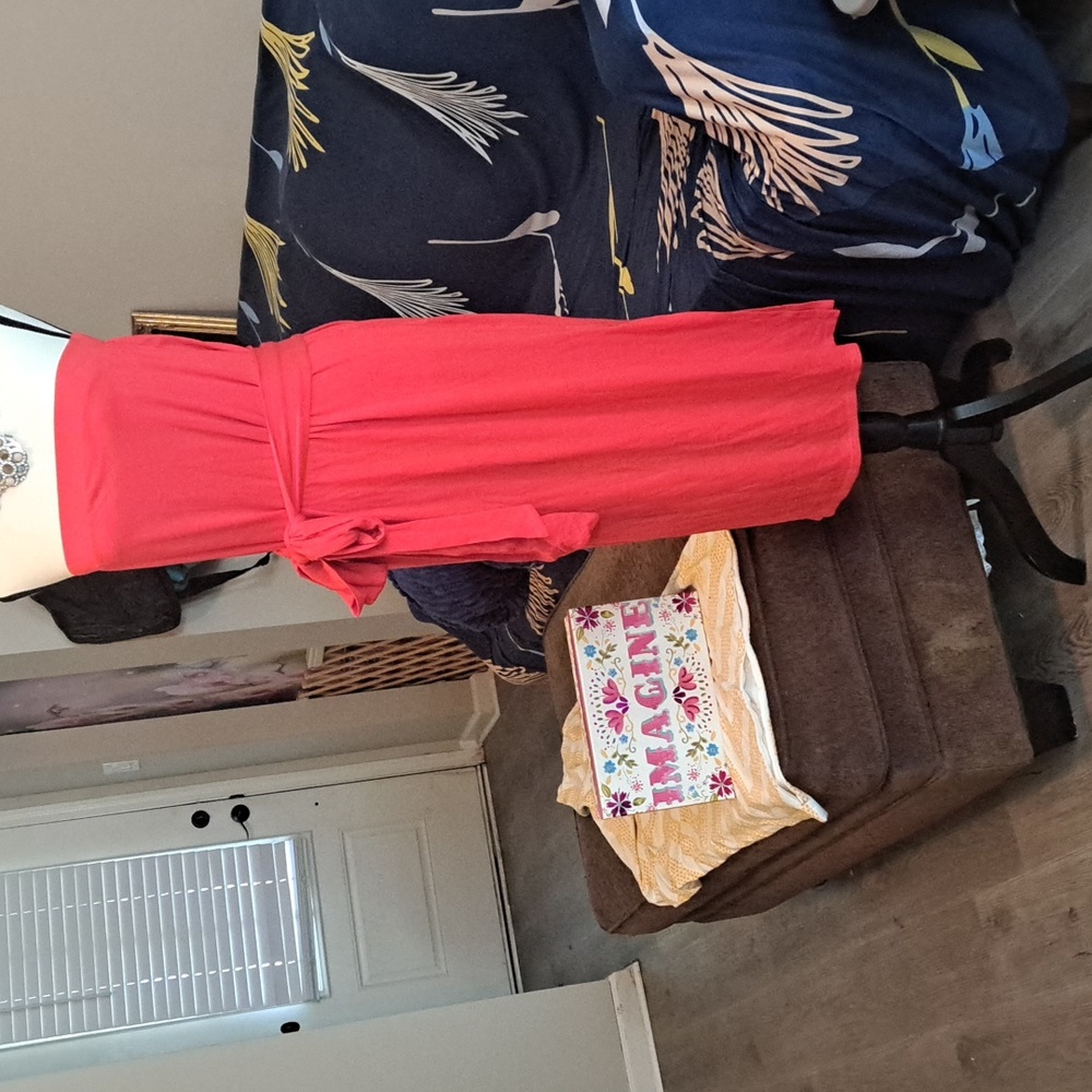 NWT SKIRT/TUBE DRESS